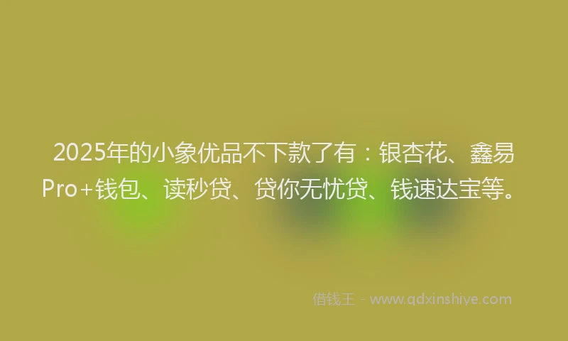 2025年的小象优品不下款了有：银杏花、鑫易Pro+钱包、读秒贷、贷你无忧贷、钱速达宝等。
