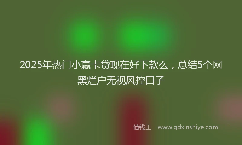 2025年热门小赢卡贷现在好下款么，总结5个网黑烂户无视风控口子