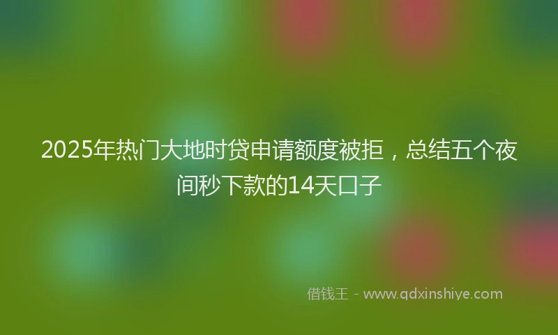 2025年热门大地时贷申请额度被拒，总结五个夜间秒下款的14天口子