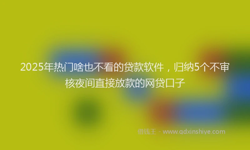 2025年热门啥也不看的贷款软件，归纳5个不审核夜间直接放款的网贷口子