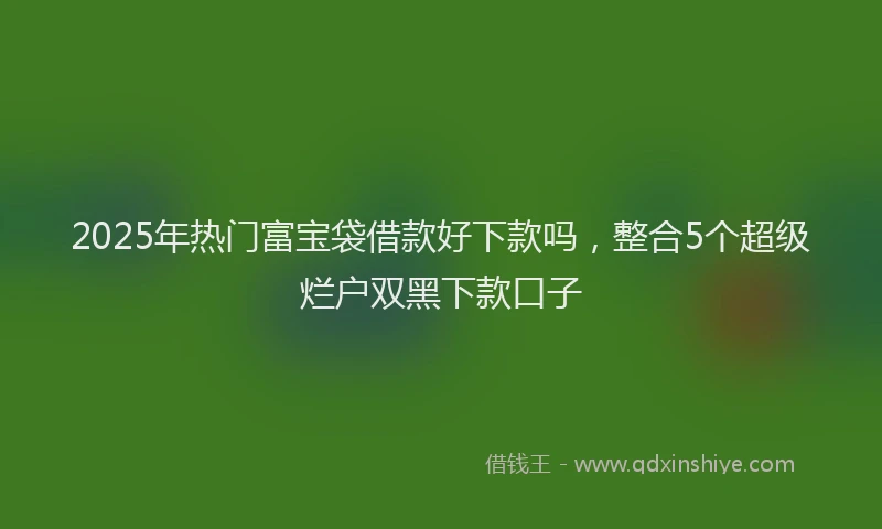 2025年热门富宝袋借款好下款吗，整合5个超级烂户双黑下款口子