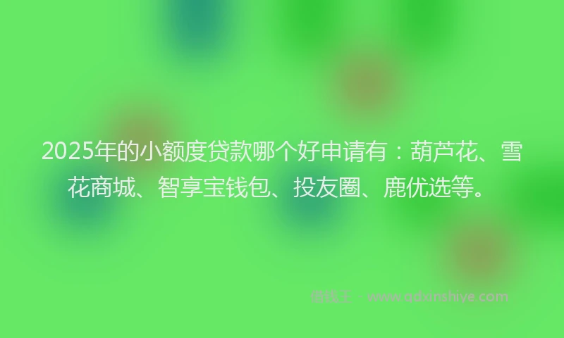 2025年的小额度贷款哪个好申请有：葫芦花、雪花商城、智享宝钱包、投友圈、鹿优选等。