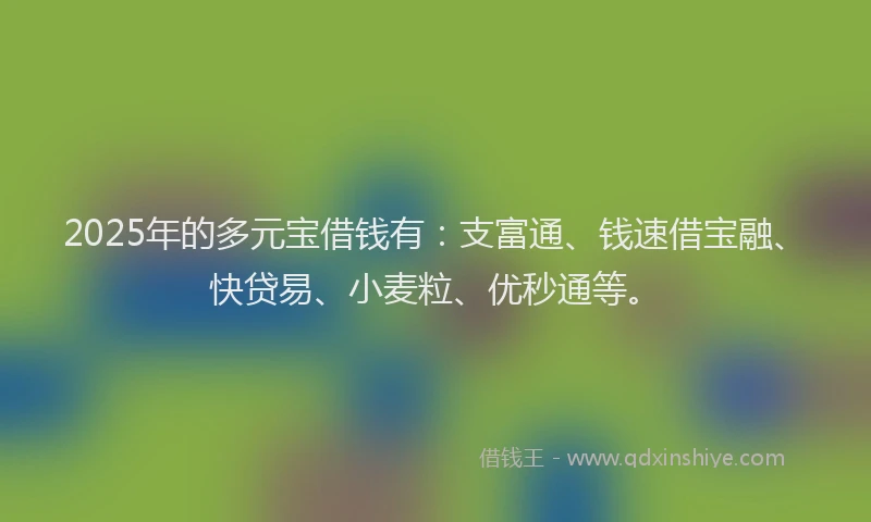 2025年的多元宝借钱有：支富通、钱速借宝融、快贷易、小麦粒、优秒通等。