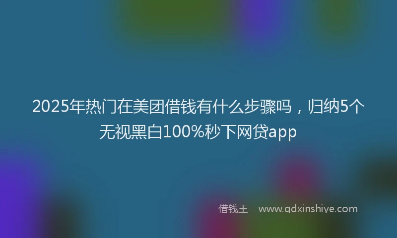 2025年热门在美团借钱有什么步骤吗，归纳5个无视黑白100%秒下网贷app