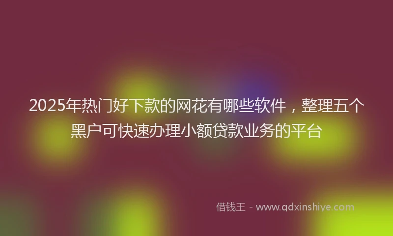 2025年热门好下款的网花有哪些软件，整理五个黑户可快速办理小额贷款业务的平台