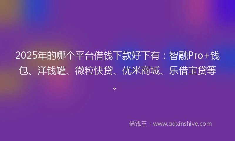 2025年的哪个平台借钱下款好下有：智融Pro+钱包、洋钱罐、微粒快贷、优米商城、乐借宝贷等。