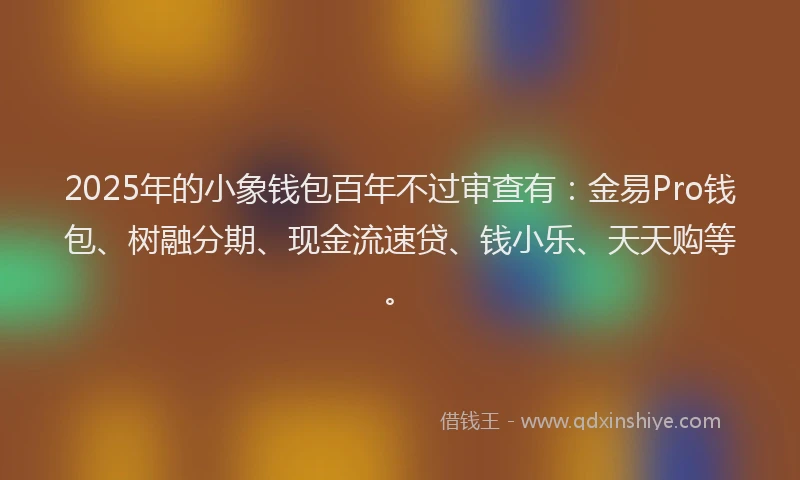 2025年的小象钱包百年不过审查有：金易Pro钱包、树融分期、现金流速贷、钱小乐、天天购等。