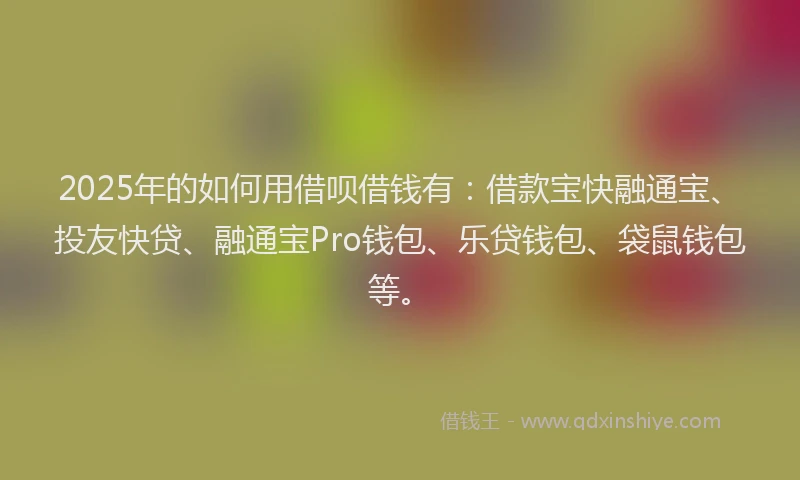 2025年的如何用借呗借钱有：借款宝快融通宝、投友快贷、融通宝Pro钱包、乐贷钱包、袋鼠钱包等。