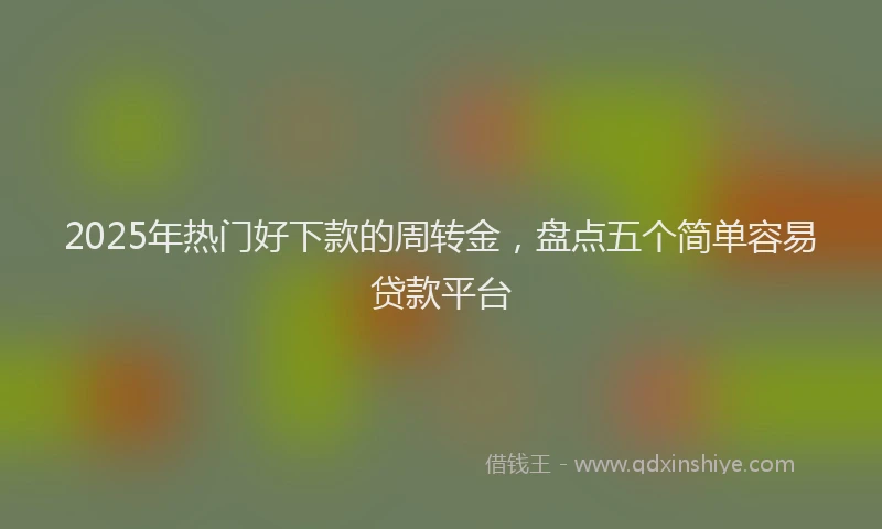 2025年热门好下款的周转金，盘点五个简单容易贷款平台