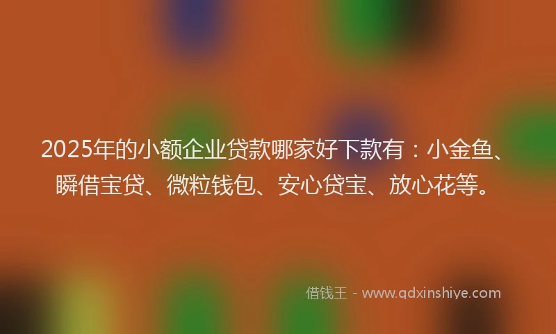 2025年的小额企业贷款哪家好下款有：小金鱼、瞬借宝贷、微粒钱包、安心贷宝、放心花等。