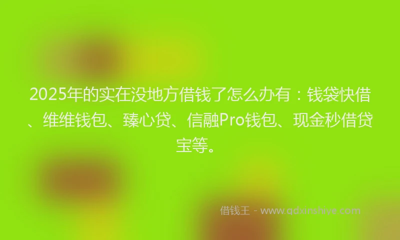 2025年的实在没地方借钱了怎么办有：钱袋快借、维维钱包、臻心贷、信融Pro钱包、现金秒借贷宝等。