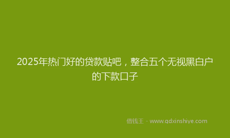 2025年热门好的贷款贴吧，整合五个无视黑白户的下款口子