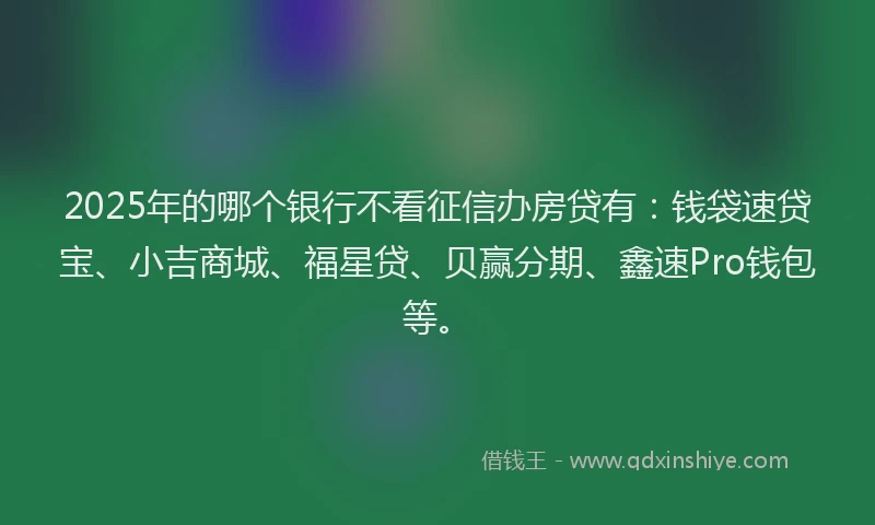 2025年的哪个银行不看征信办房贷有：钱袋速贷宝、小吉商城、福星贷、贝赢分期、鑫速Pro钱包等。