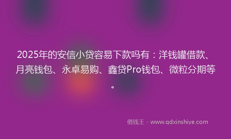 2025年的安信小贷容易下款吗有：洋钱罐借款、月亮钱包、永卓易购、鑫贷Pro钱包、微粒分期等。