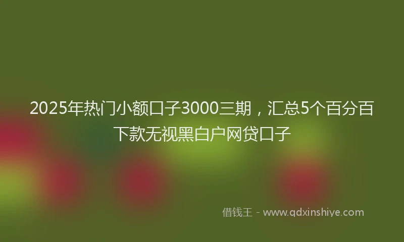 2025年热门小额口子3000三期,汇总5个百分百下款无视黑白户网贷口子