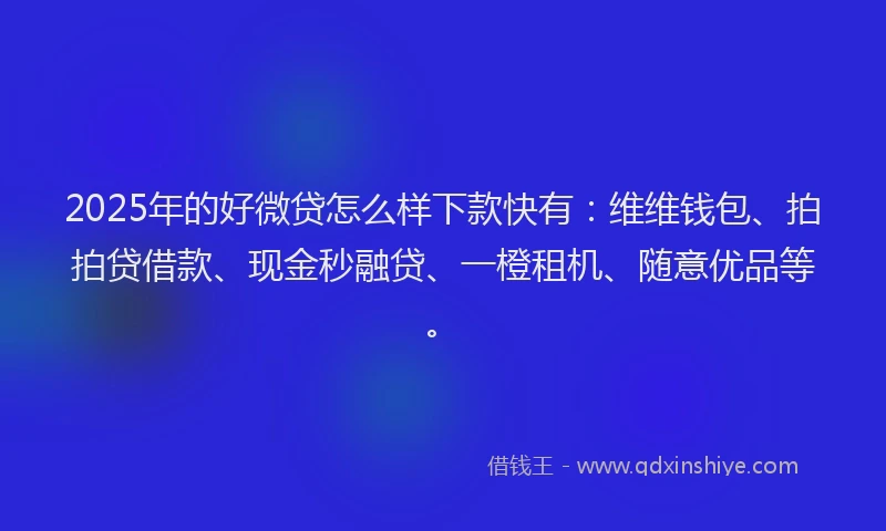2025年的好微贷怎么样下款快有：维维钱包、拍拍贷借款、现金秒融贷、一橙租机、随意优品等。