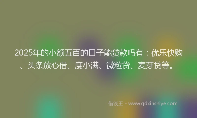 2025年的小额五百的口子能贷款吗有：优乐快购、头条放心借、度小满、微粒贷、麦芽贷等。