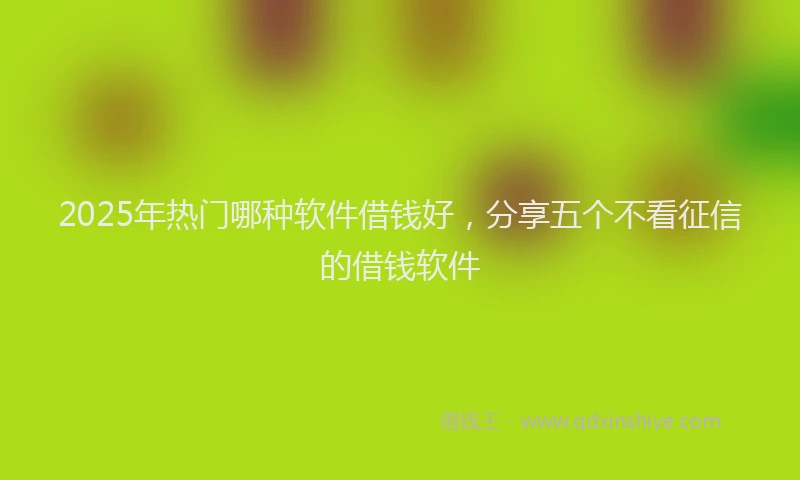 2025年热门哪种软件借钱好，分享五个不看征信的借钱软件
