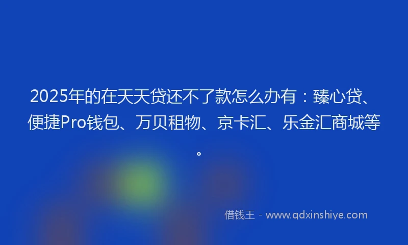 2025年的在天天贷还不了款怎么办有：臻心贷、便捷Pro钱包、万贝租物、京卡汇、乐金汇商城等。