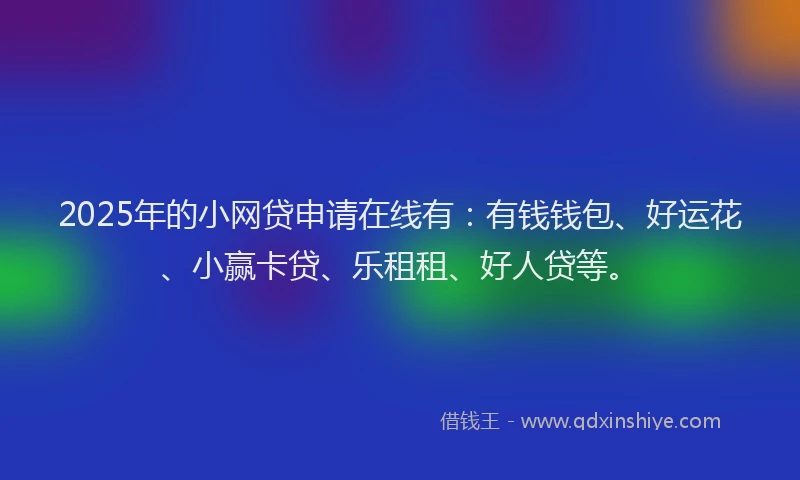 2025年的小网贷申请在线有：有钱钱包、好运花、小赢卡贷、乐租租、好人贷等。