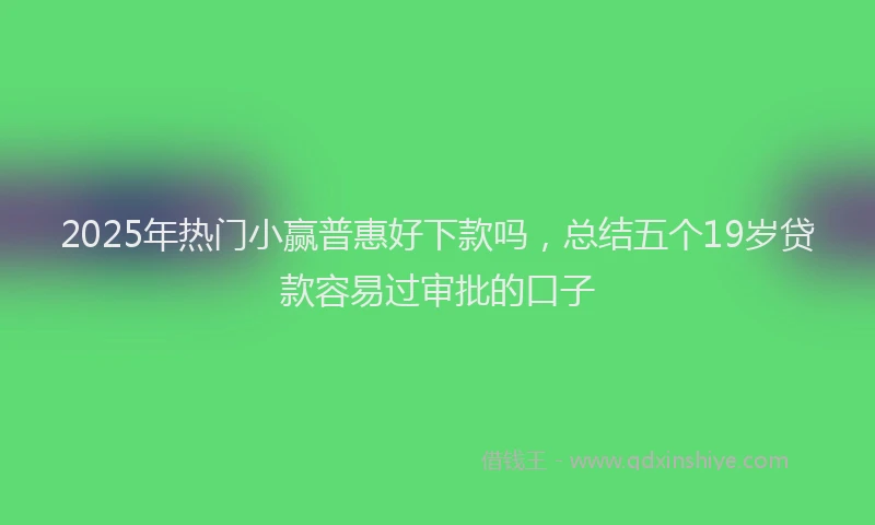 2025年热门小赢普惠好下款吗，总结五个19岁贷款容易过审批的口子