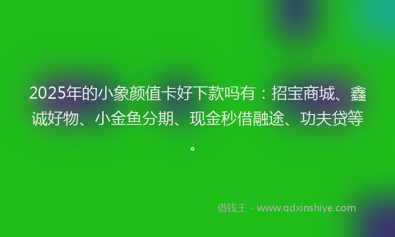 2025年的小象颜值卡好下款吗有：招宝商城、鑫诚好物、小金鱼分期、现金秒借融途、功夫贷等。