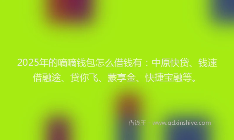 2025年的嘀嘀钱包怎么借钱有：中原快贷、钱速借融途、贷你飞、蒙享金、快捷宝融等。