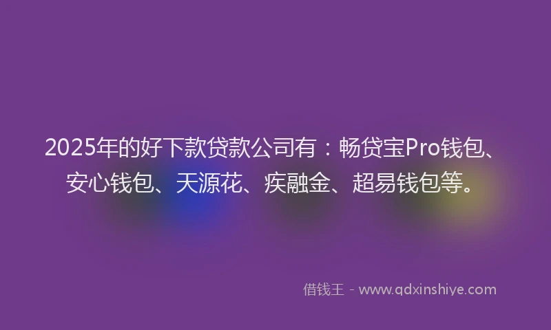 2025年的好下款贷款公司有：畅贷宝Pro钱包、安心钱包、天源花、疾融金、超易钱包等。