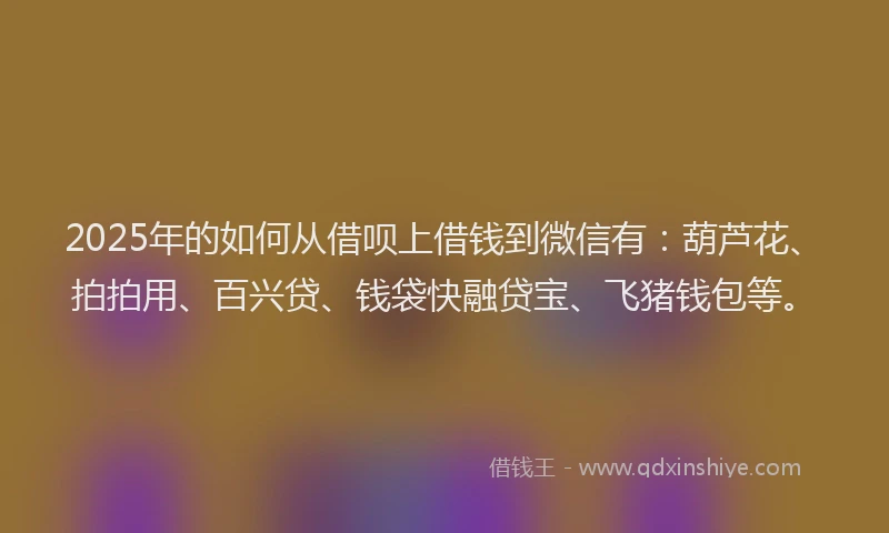 2025年的如何从借呗上借钱到微信有：葫芦花、拍拍用、百兴贷、钱袋快融贷宝、飞猪钱包等。