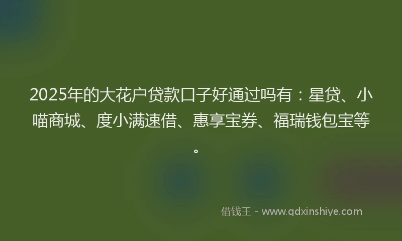 2025年的大花户贷款口子好通过吗有：星贷、小喵商城、度小满速借、惠享宝券、福瑞钱包宝等。