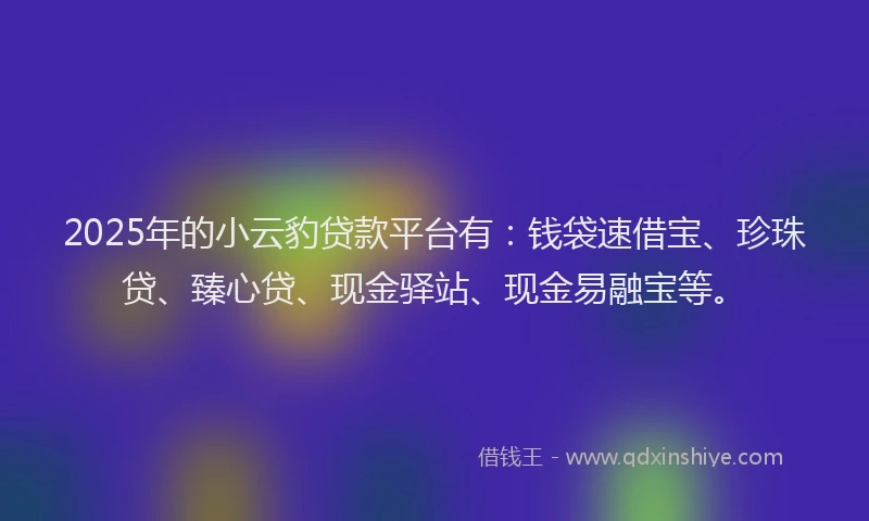 2025年的小云豹贷款平台有：钱袋速借宝、珍珠贷、臻心贷、现金驿站、现金易融宝等。