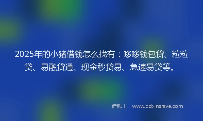 2025年的小猪借钱怎么找有：哆哆钱包贷、粒粒贷、易融贷通、现金秒贷易、急速易贷等。