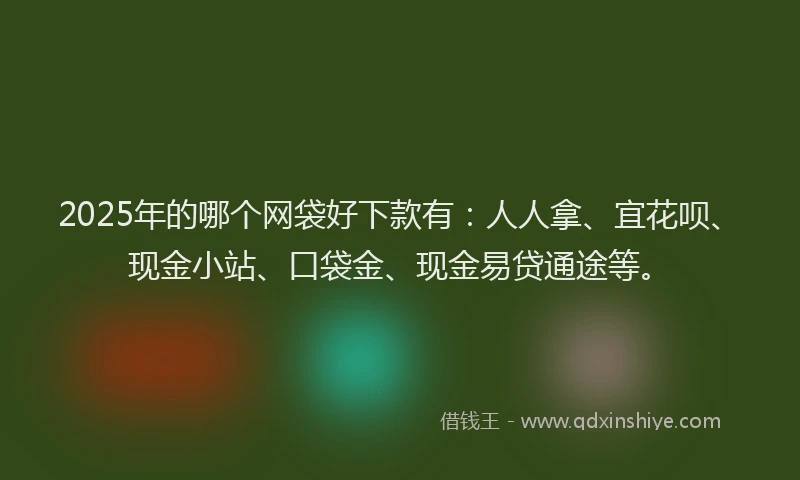 2025年的哪个网袋好下款有：人人拿、宜花呗、现金小站、口袋金、现金易贷通途等。
