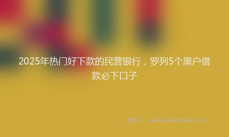 2025年热门好下款的民营银行，罗列5个黑户借款必下口子
