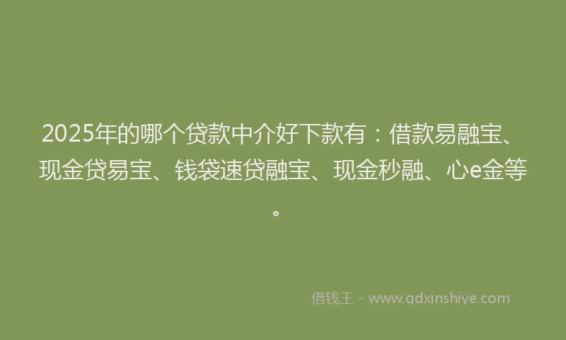 2025年的哪个贷款中介好下款有：借款易融宝、现金贷易宝、钱袋速贷融宝、现金秒融、心e金等。