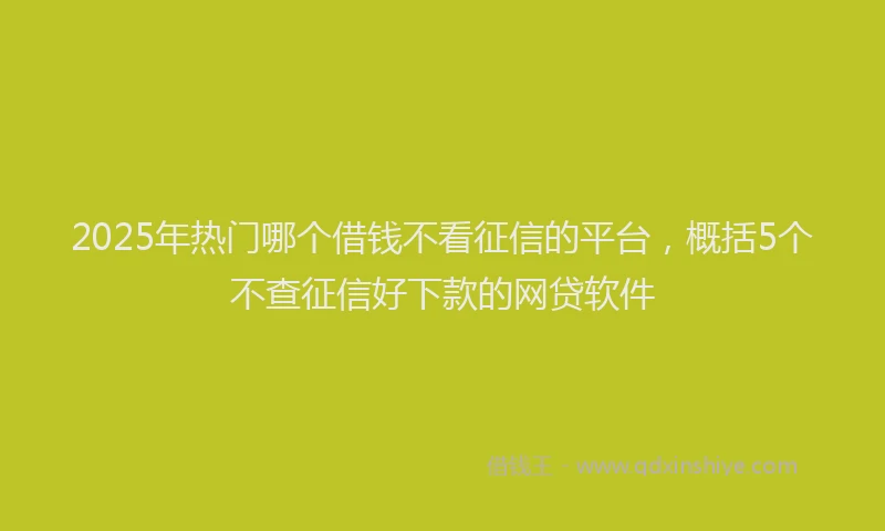 2025年热门哪个借钱不看征信的平台，概括5个不查征信好下款的网贷软件