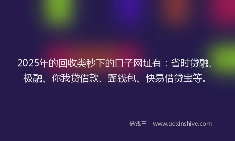 2025年的回收类秒下的口子网址有：省时贷融、极融、你我贷借款、甄钱包、快易借贷宝等。