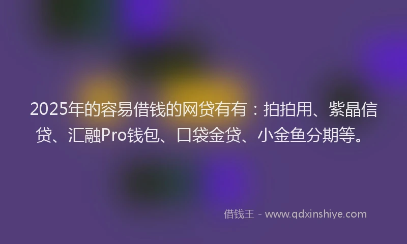 2025年的容易借钱的网贷有有：拍拍用、紫晶信贷、汇融Pro钱包、口袋金贷、小金鱼分期等。