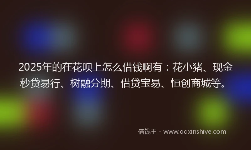 2025年的在花呗上怎么借钱啊有：花小猪、现金秒贷易行、树融分期、借贷宝易、恒创商城等。