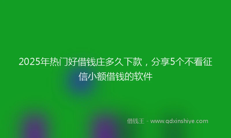 2025年热门好借钱庄多久下款，分享5个不看征信小额借钱的软件