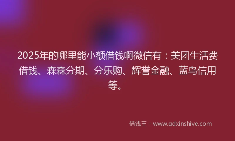 2025年的哪里能小额借钱啊微信有：美团生活费借钱、森森分期、分乐购、辉誉金融、蓝鸟信用等。