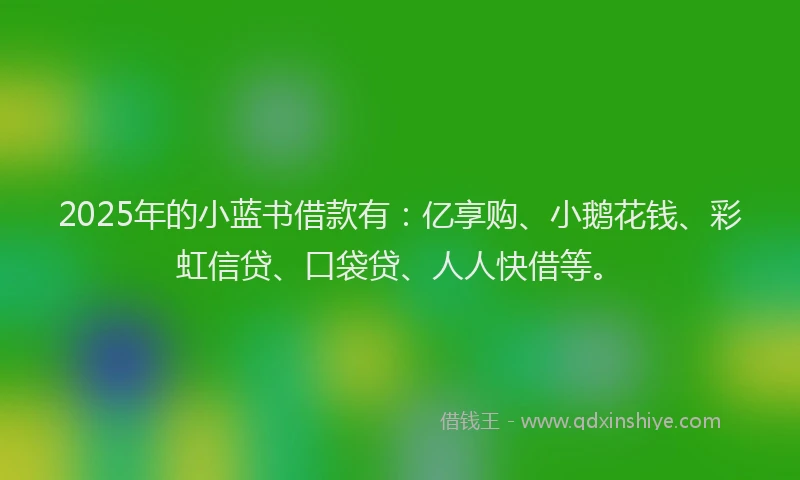2025年的小蓝书借款有：亿享购、小鹅花钱、彩虹信贷、口袋贷、人人快借等。