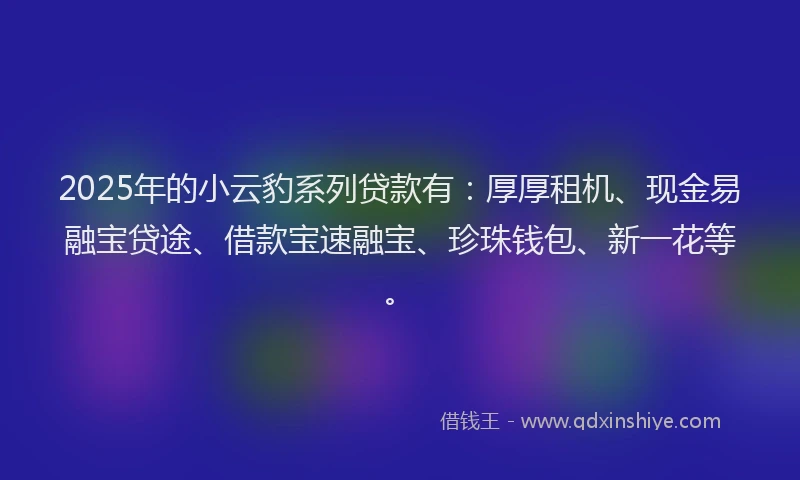 2025年的小云豹系列贷款有：厚厚租机、现金易融宝贷途、借款宝速融宝、珍珠钱包、新一花等。