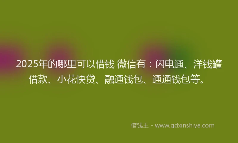 2025年的哪里可以借钱 微信有：闪电通、洋钱罐借款、小花快贷、融通钱包、通通钱包等。