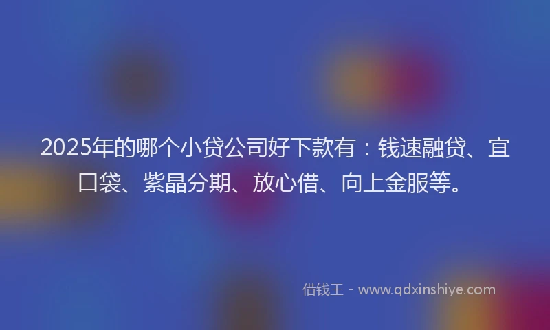 2025年的哪个小贷公司好下款有：钱速融贷、宜口袋、紫晶分期、放心借、向上金服等。
