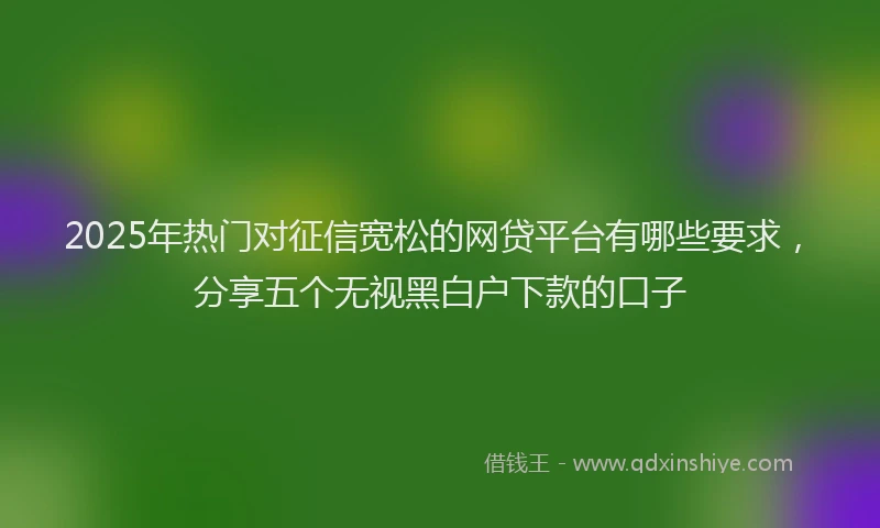 2025年热门对征信宽松的网贷平台有哪些要求,分享五个无视黑白户下款的口子