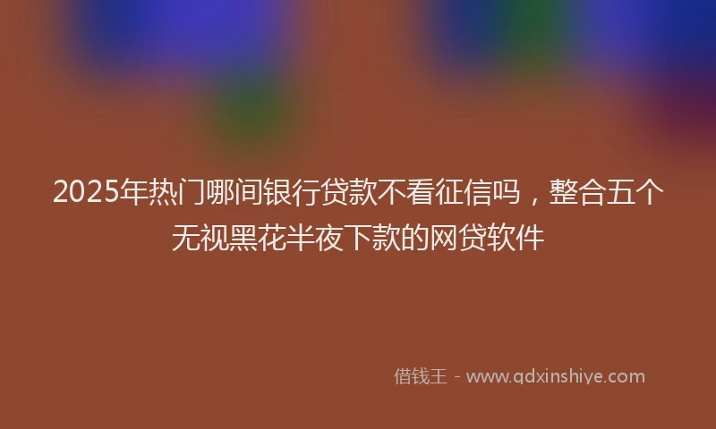 2025年热门哪间银行贷款不看征信吗，整合五个无视黑花半夜下款的网贷软件