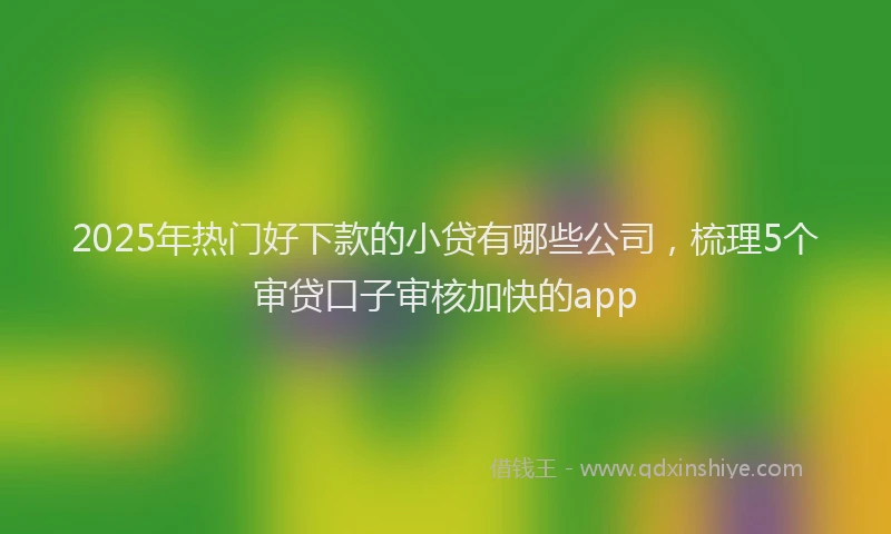 2025年热门好下款的小贷有哪些公司，梳理5个审贷口子审核加快的app
