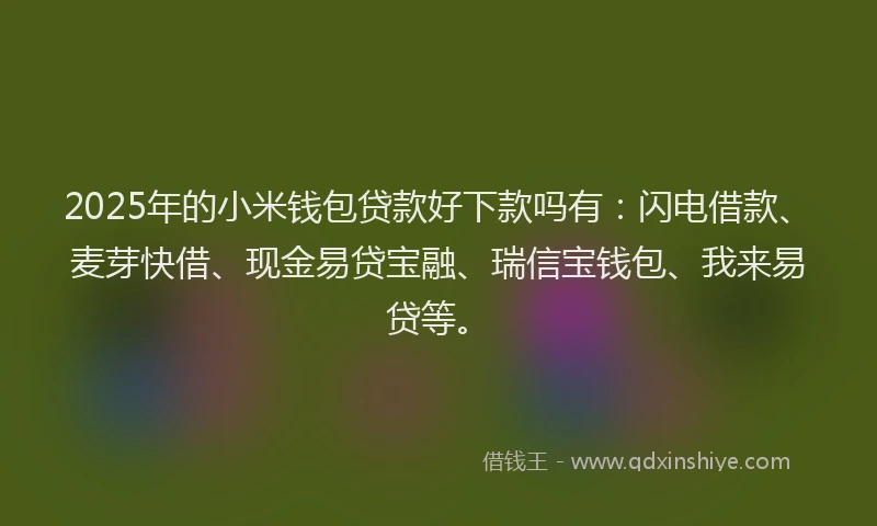 2025年的小米钱包贷款好下款吗有:闪电借款、麦芽快借、现金易贷宝融、瑞信宝钱包、我来易贷等。