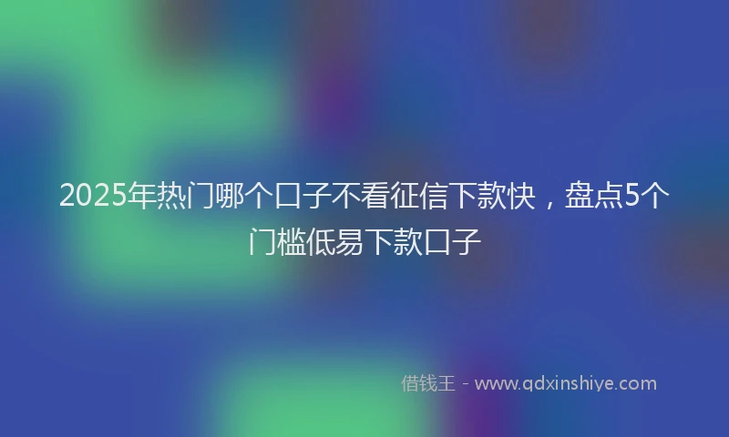 2025年热门哪个口子不看征信下款快，盘点5个门槛低易下款口子